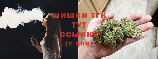 винт Осташков