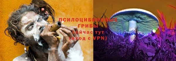 винт Осташков