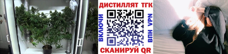 ТГК концентрат  наркошоп  Барыш 