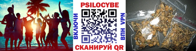 цена наркотик  kraken маркетплейс  Галлюциногенные грибы Psilocybe  Барыш 